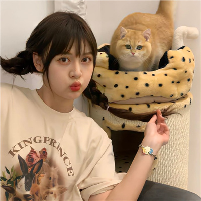 义乌伴游女生星晓莉的资料
